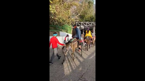 Vaishno Devi Temple India