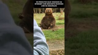 URSO DANDO OI