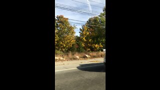 Maine in Fall