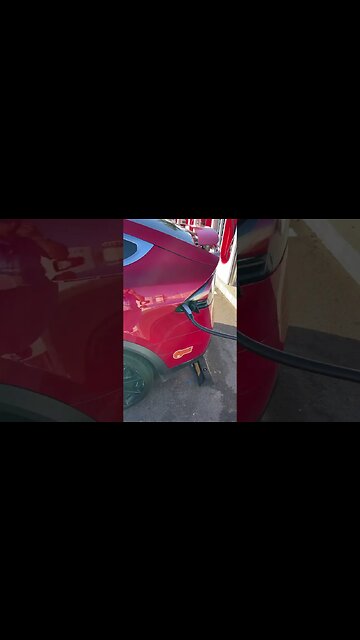 Tesla merdo macchina lavatrici con le ali 2