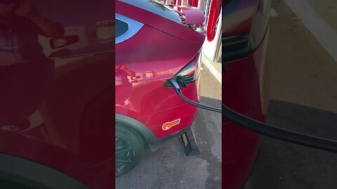 Tesla merdo macchina lavatrici con le ali 2