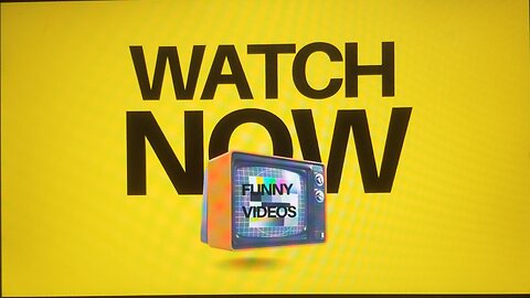 Funny videos for animals
