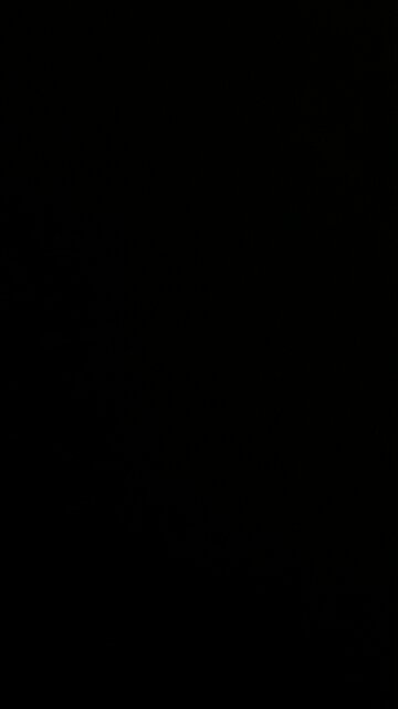 Does the N in BioNTech stand for nano?