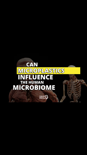 Can Microplastics Influence the Human Microbiome