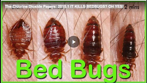 The 'Chlorine Dioxide' Papers: 2015.1 IT KILLS BEDBUGS? OH YES!