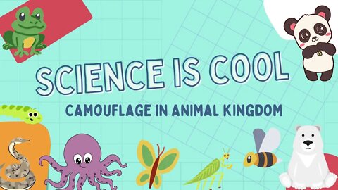 Science is cool - Camouflage in animals kingdom