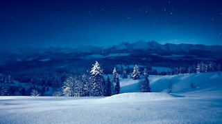 Instrumental Music – Winter Pine Trees