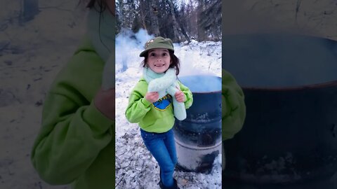Alaska Homeschool: Forestry Class