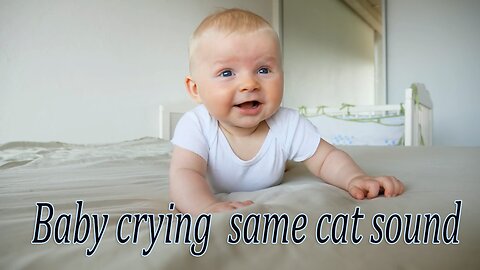 Baby crying as a same cat