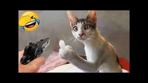 New Funny Videos 2024 😍 Cutest Cats and Dogs 🐱🐶 Part 3