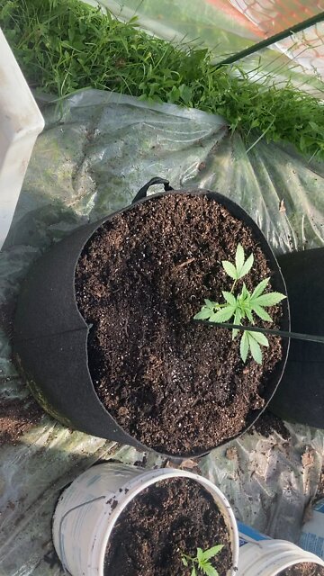 derek hunter fudging week in review. There’s a special place in hell for these people