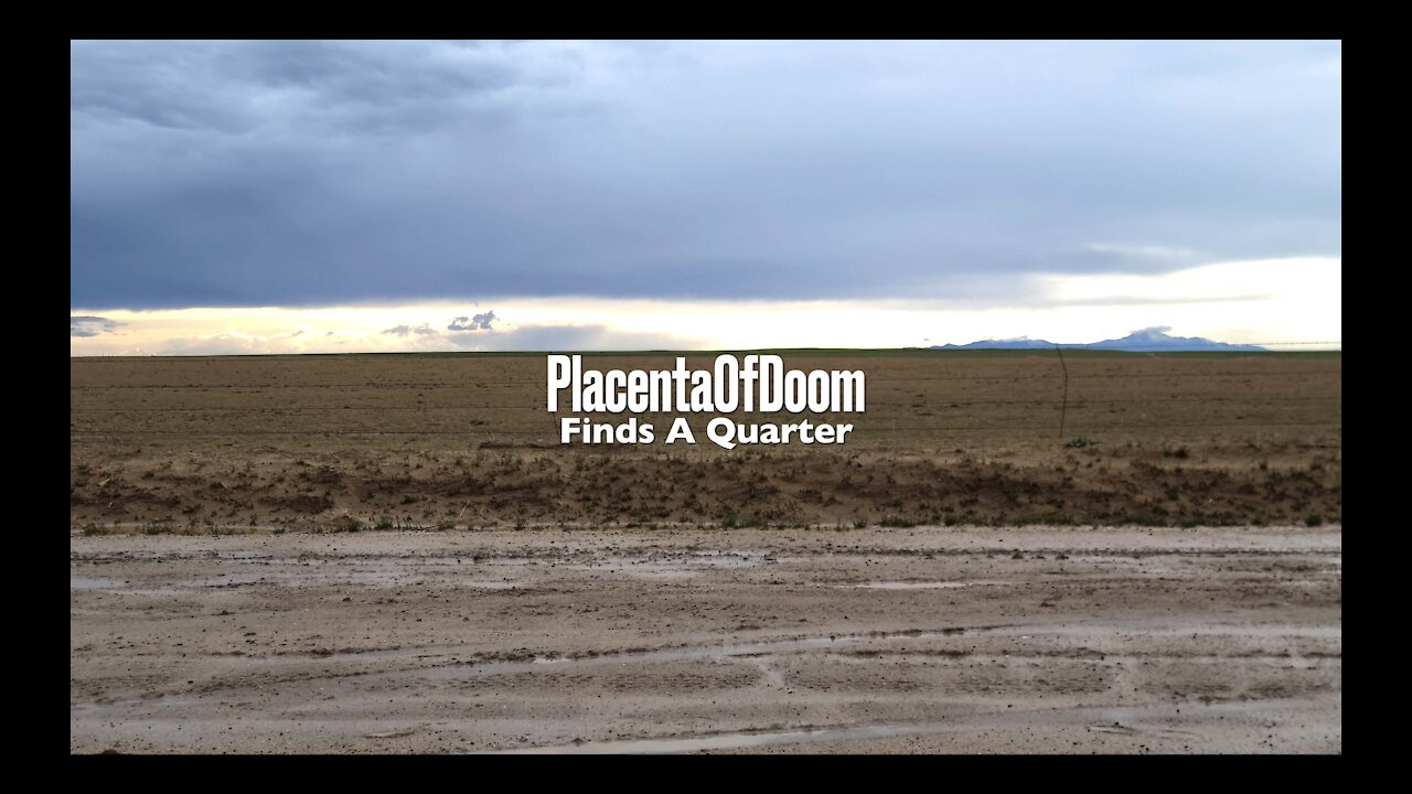 PlacentaOfDoom Finds A Quarter