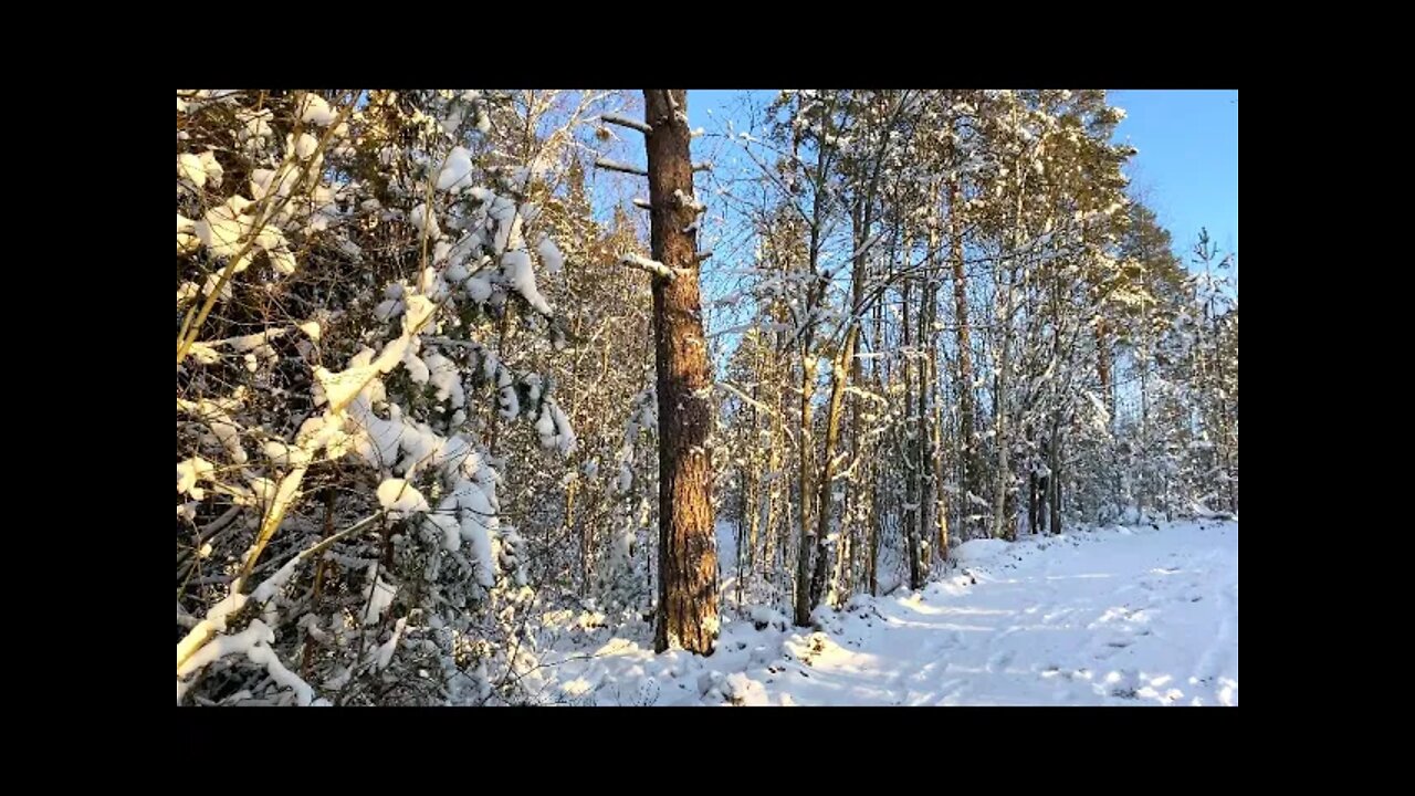 Um passeio na neve com céu azul e assuntos leves prá relaxar...