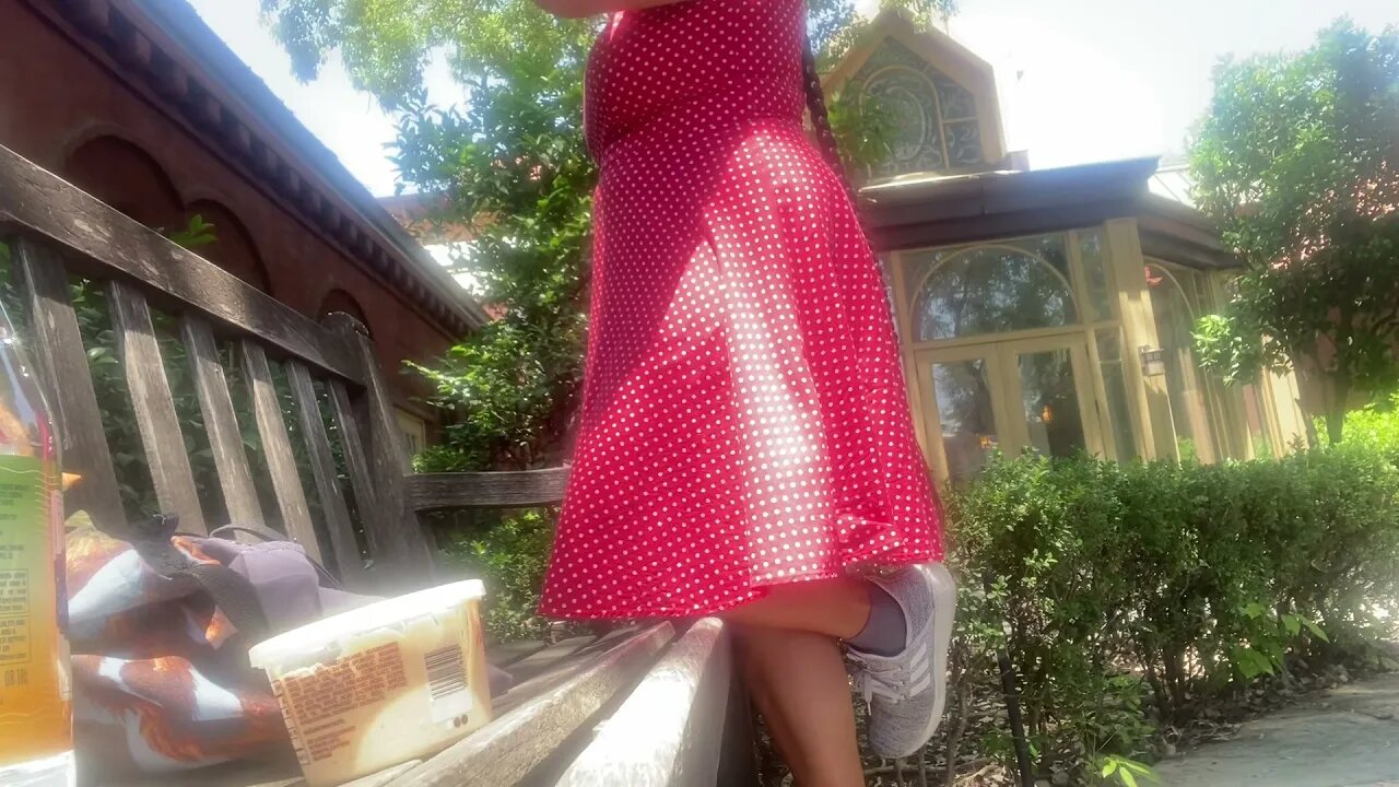 1950s Inspired Cotton Dresses