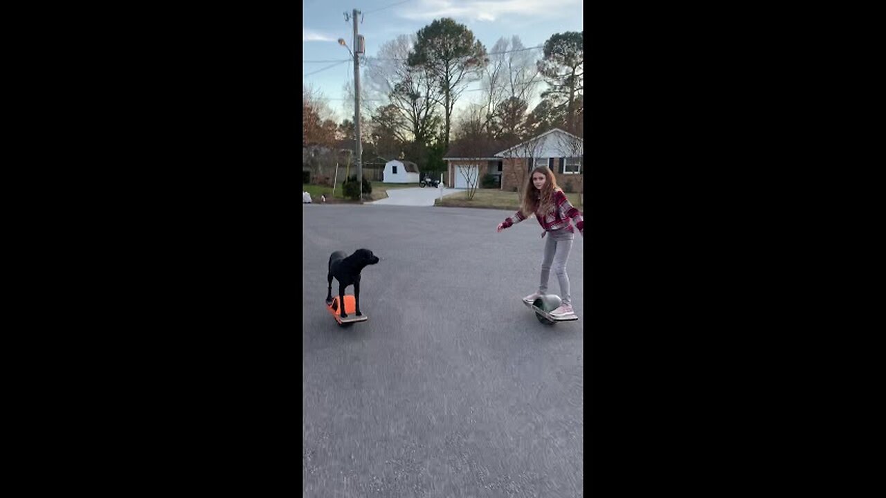 Unleash the fun: Dog flawlessly rides Onewheel