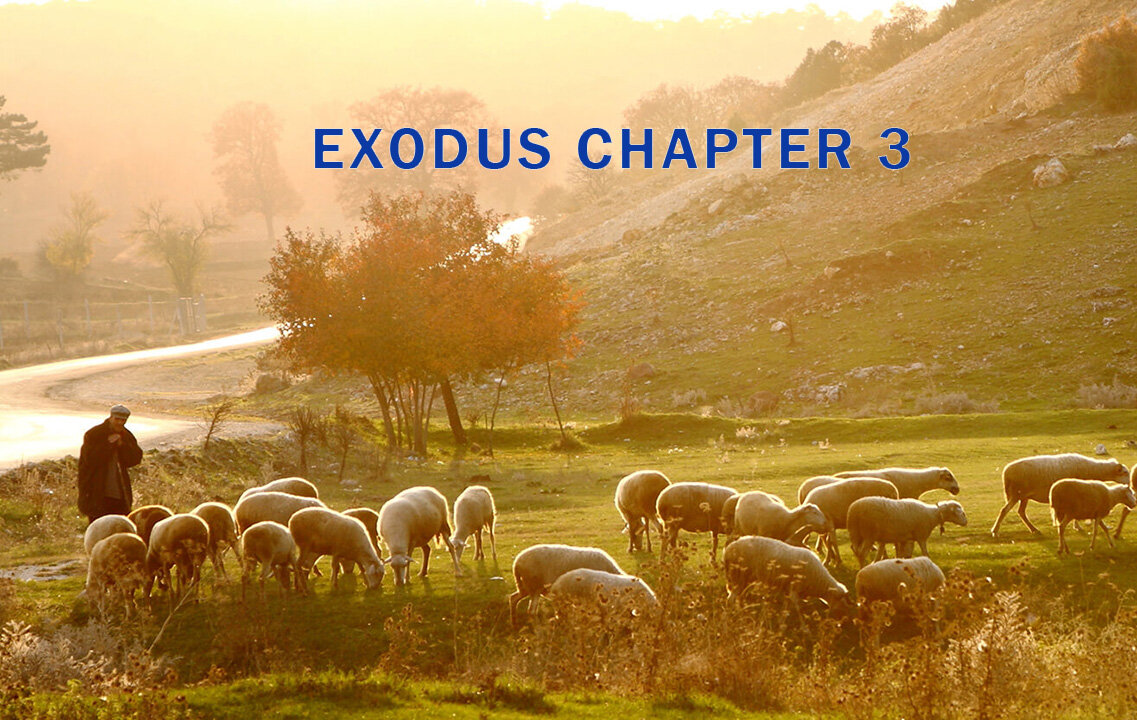 Jacob Prasch Bible Study Exodus 3 Part 1 5/11