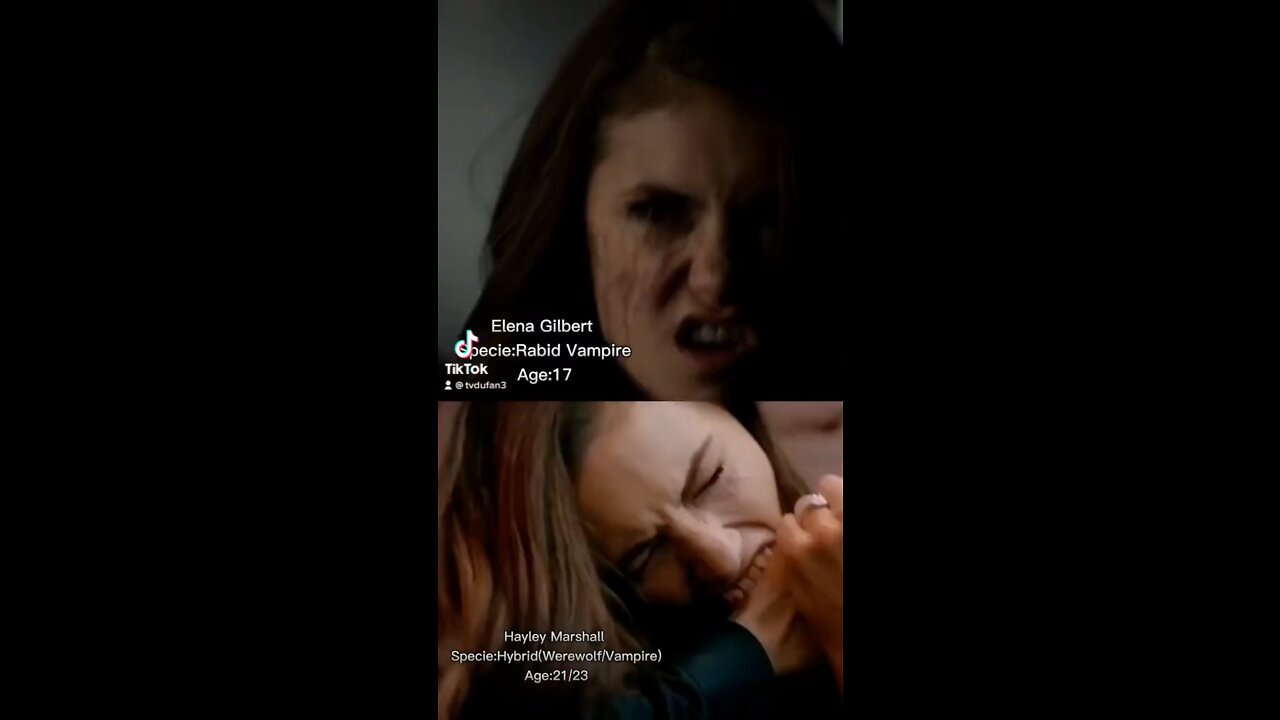 TVDU Fights: Elena Gilbert vs Hayley Marshall