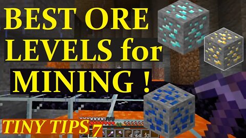 BEST LEVELS for MINING ORE ! - (Tiny Tips 7) Minecraft Guide