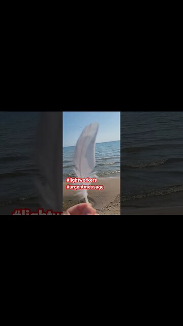 Urgent Message For Lightworkers.# #shorts#shortsvideo #diyaffiliatesouljourney#delorescannon