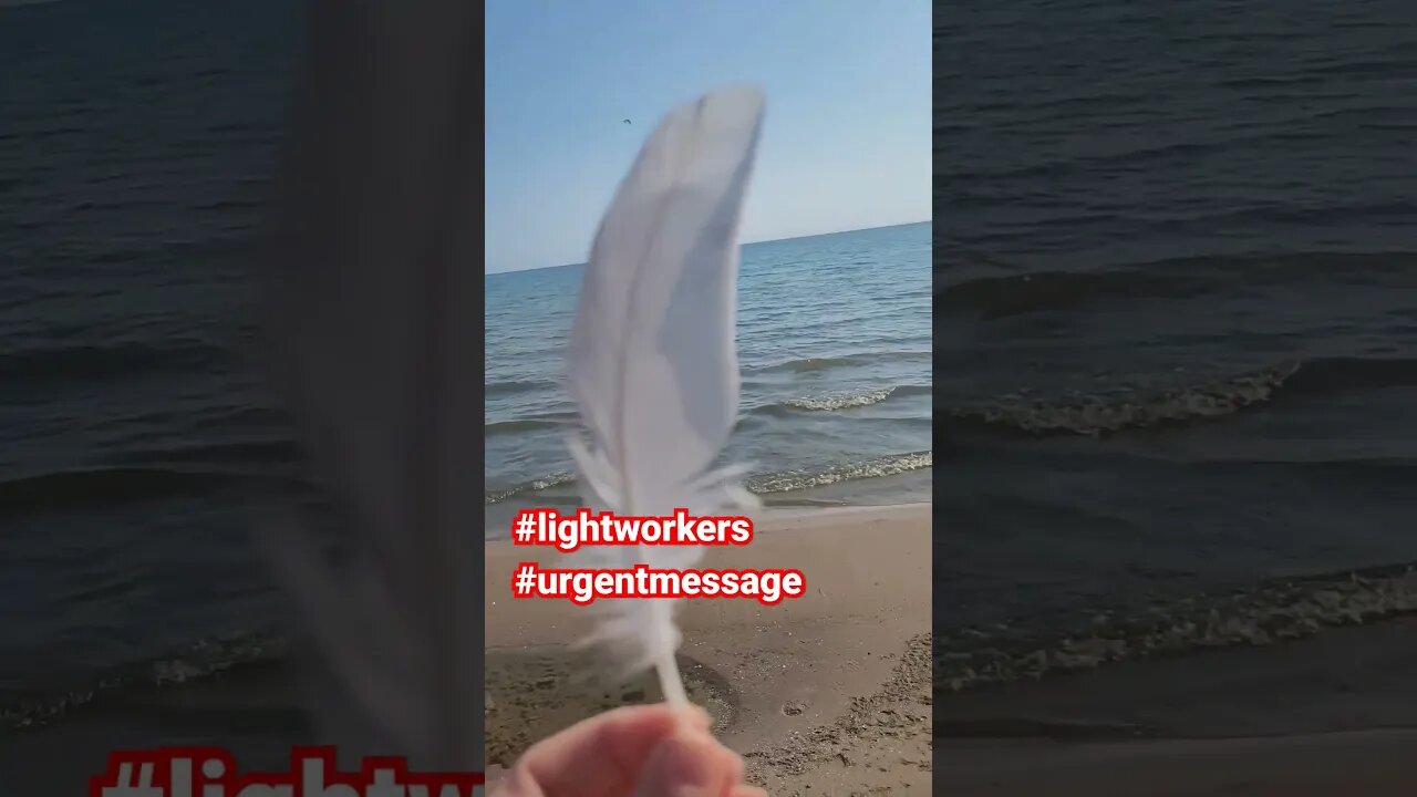 Urgent Message For Lightworkers.# #shorts#shortsvideo #diyaffiliatesouljourney#delorescannon