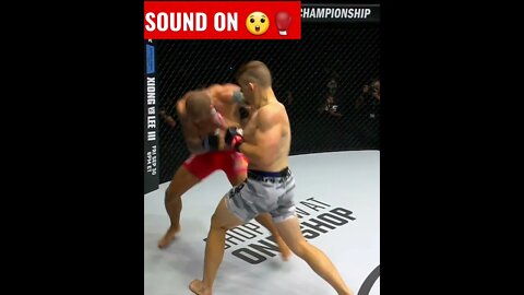 Solid Uppercut MMA Fighter KO