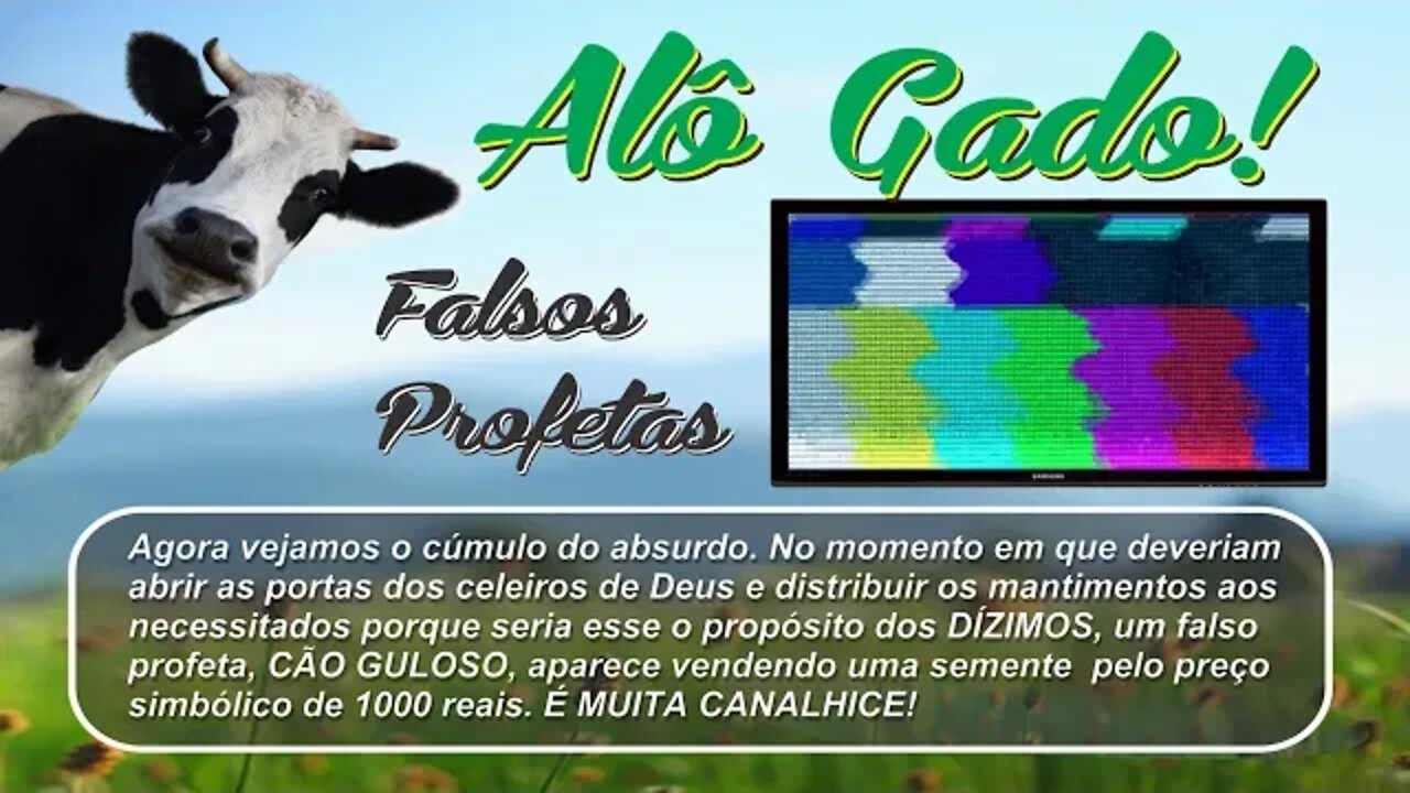 FEIJÕES MÁGICOS DE VALDEMIRO