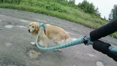 July 1st, Flynn and I walk North