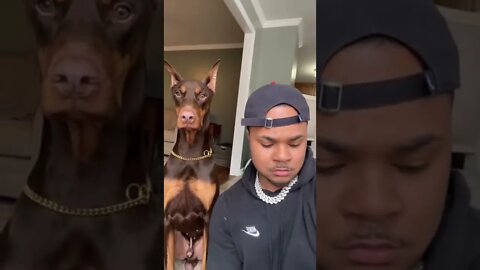 bem bolado 😂😂😂 #shorts #short