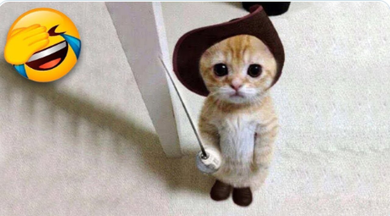 Smile with animals |#funny #pets ,viral, entertainment #comedy
