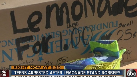 9-year-olds robbed at lemonade stand in Lutz