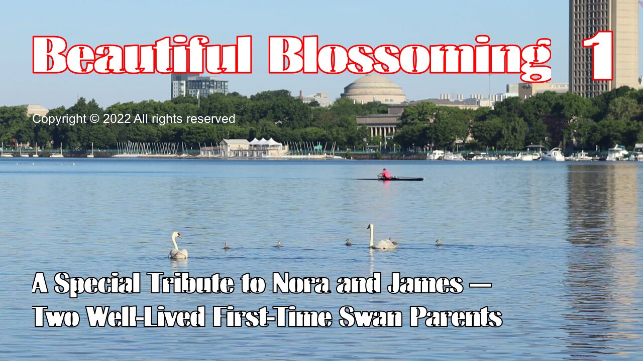Beautiful Blossoming Episode I: A Special Tribute to Nora and James