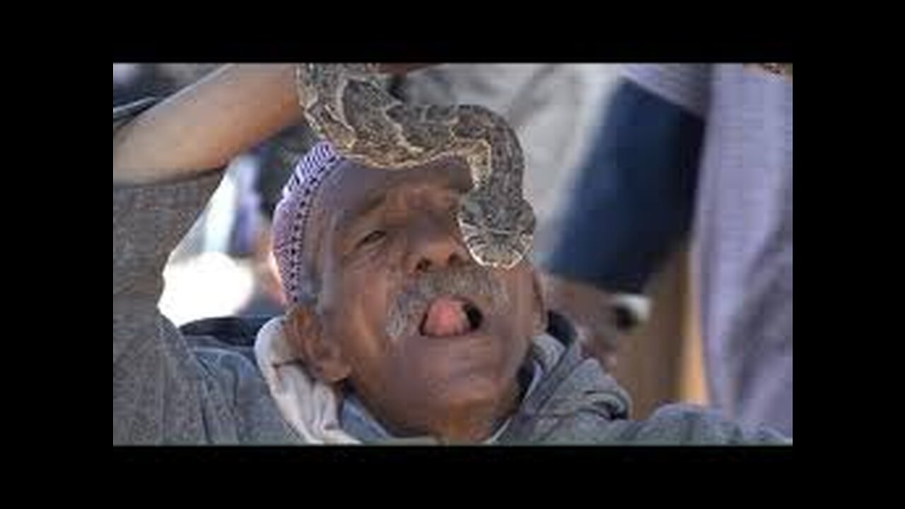 Marrakech snake charmers defying death at Djemmaa el-Fna