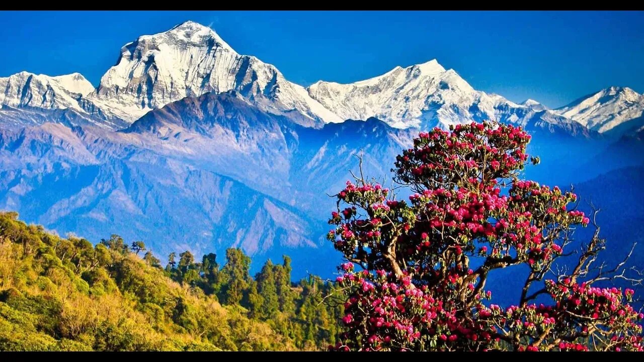 Beauty Of Nepal🇳🇵 Amazing Drone Shots 4k Video