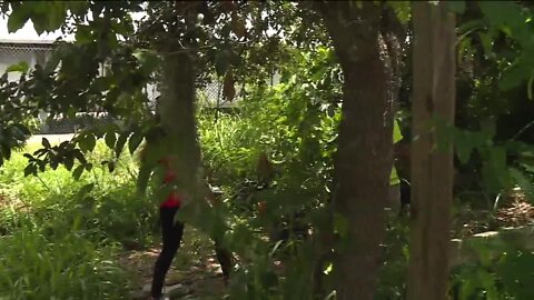 Thousands of dollars worth of electric bicycles stolen in Lee County
