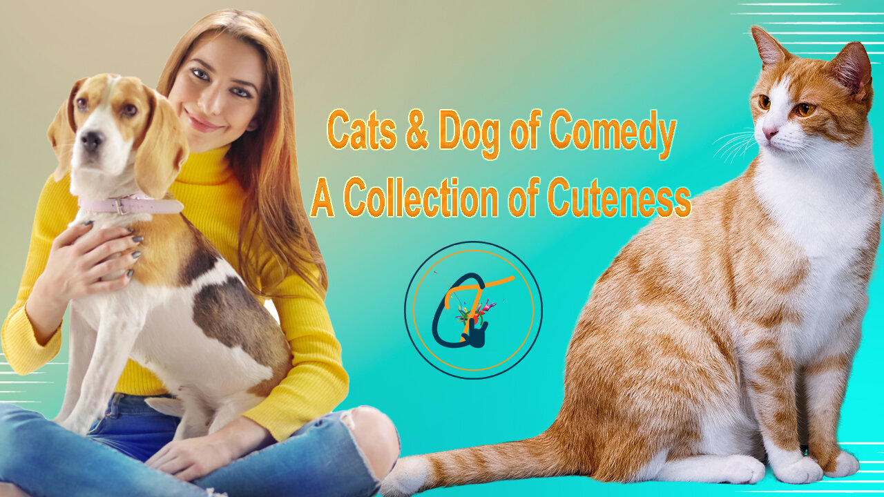 Cats & Dog of Comedy A Collection of Cuteness !!!