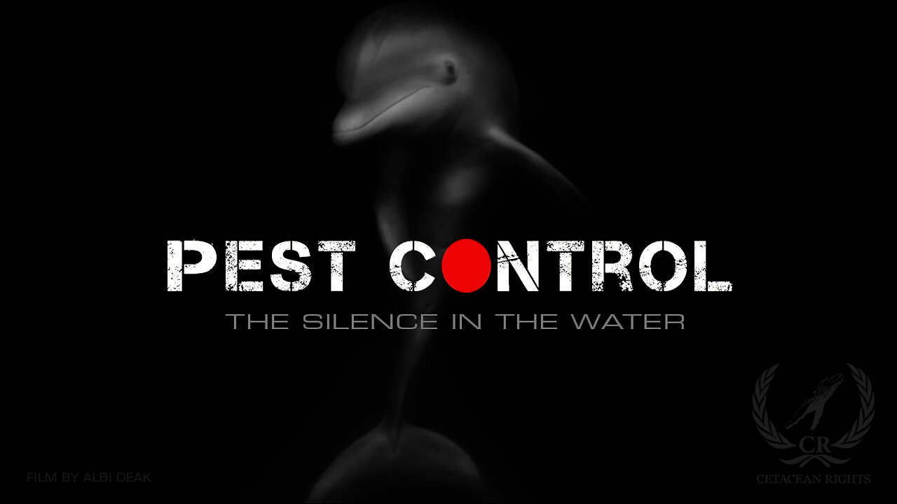 'Pest Control' - The Silence in The Oceans