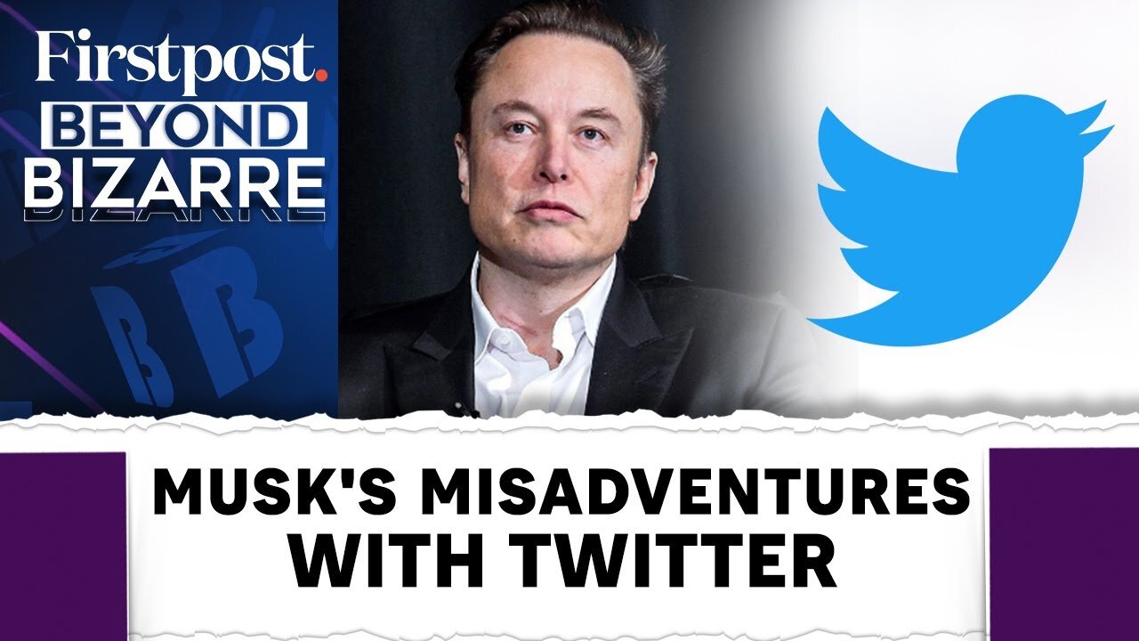 Twitter Logo Change: Elon Musk's Love Affair With Doge | Beyond Bizarre