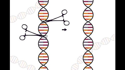 How CRISPR lets us edit our DNA | Jennifer Doudna