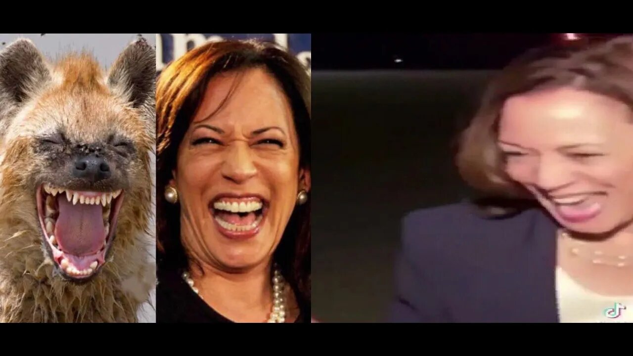 WATCH! Kamala Harris LAUGHS like a Hyena about Afghanistan. This is the 'VP' ...Wants to be Prez