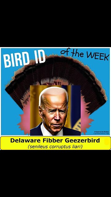 Joe Biden is Bird of the Week! The Delaware Fibber Geezerbird