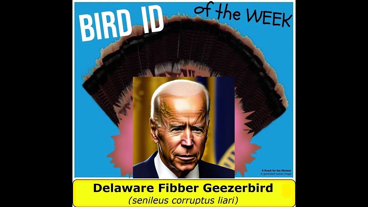 Joe Biden is Bird of the Week! The Delaware Fibber Geezerbird