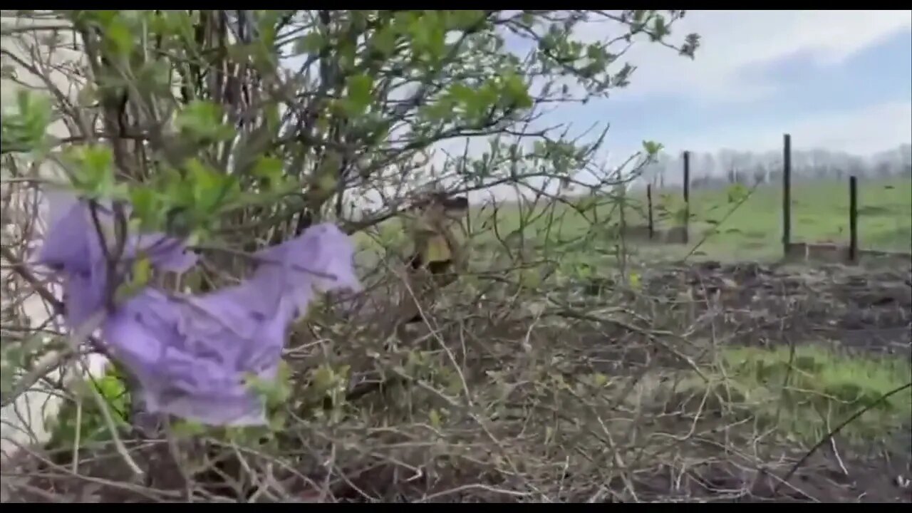 Hot clashes continue in Kharkiv Oblast!