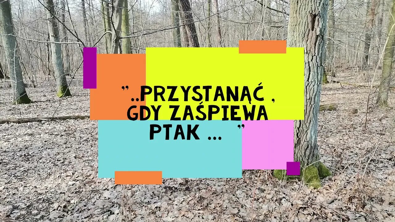 ..." przystanąć , gdy zaśpiewa ptak ... " Anna Budzik