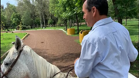 Feliz en el Caballo 🐴 Blanco