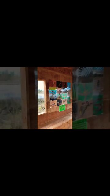 Parks Canada cabin on trails