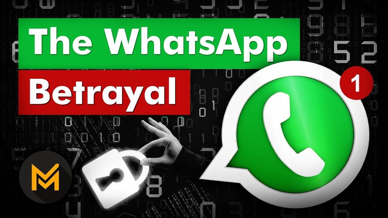 How Does WhatsApp Make Money? - The INSANE Story of WhatsApp!