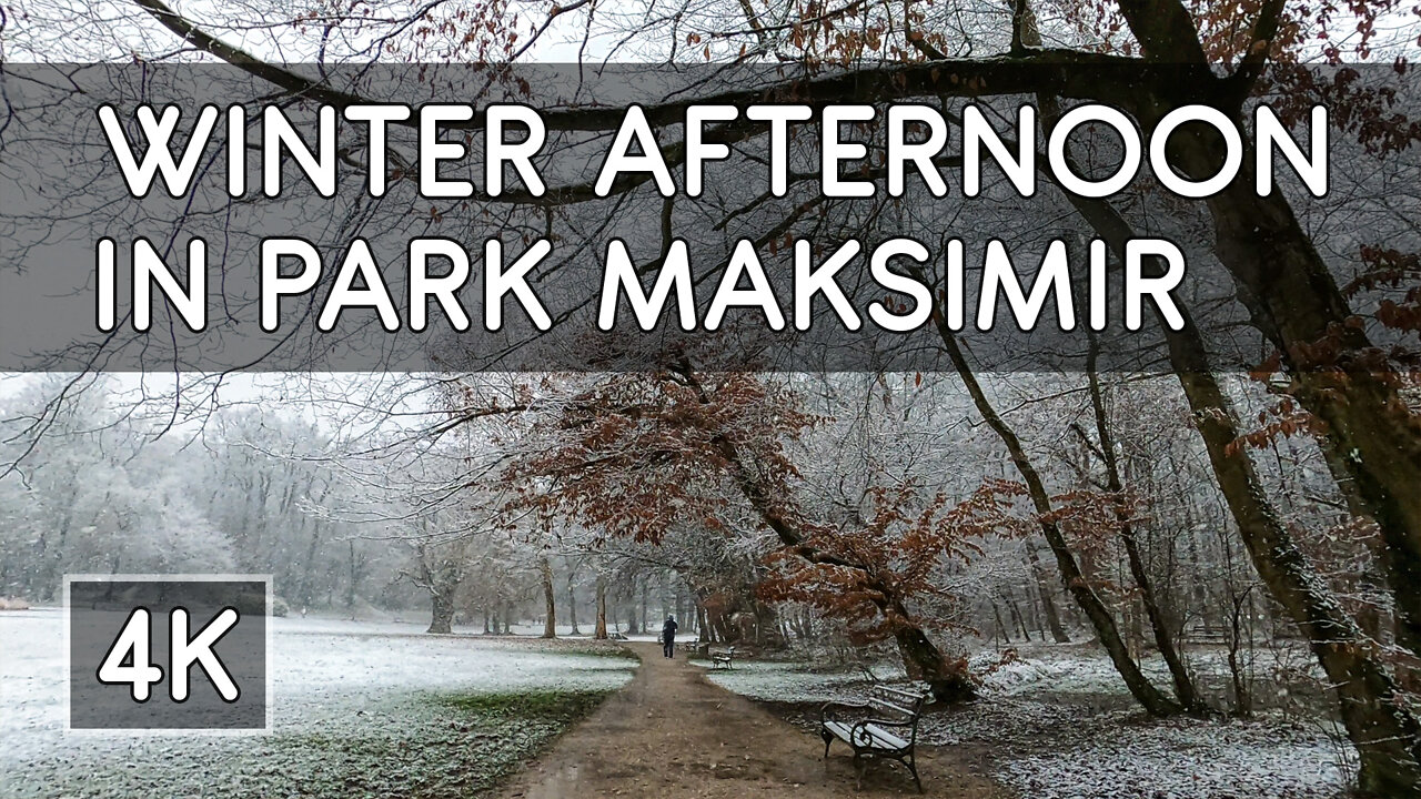 Walking in Park Maksimir while Snowing (Winter Afternoon) - 4K UHD