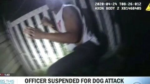 Police Officer Suspended After Using K9 Partner To Brutalize Suspects!