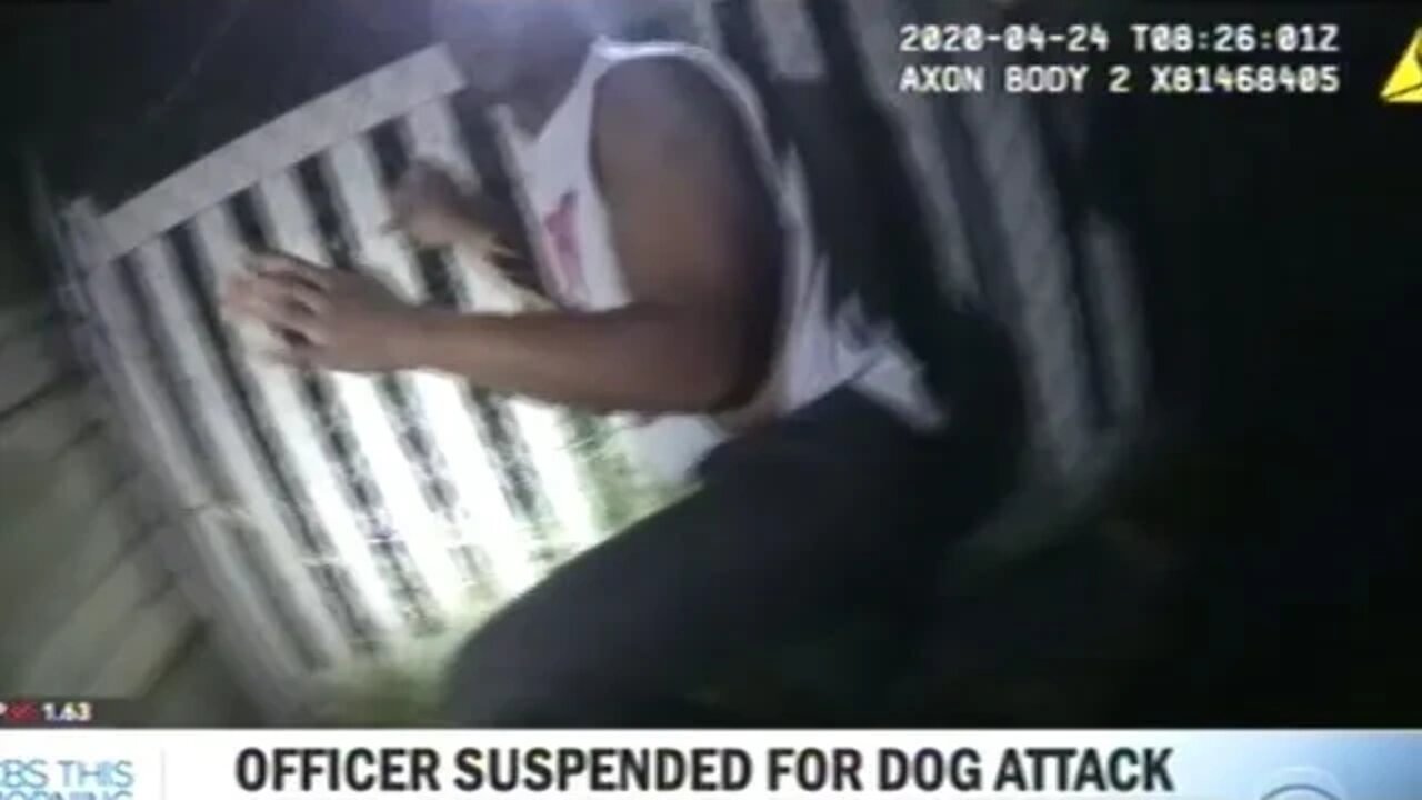 Police Officer Suspended After Using K9 Partner To Brutalize Suspects!