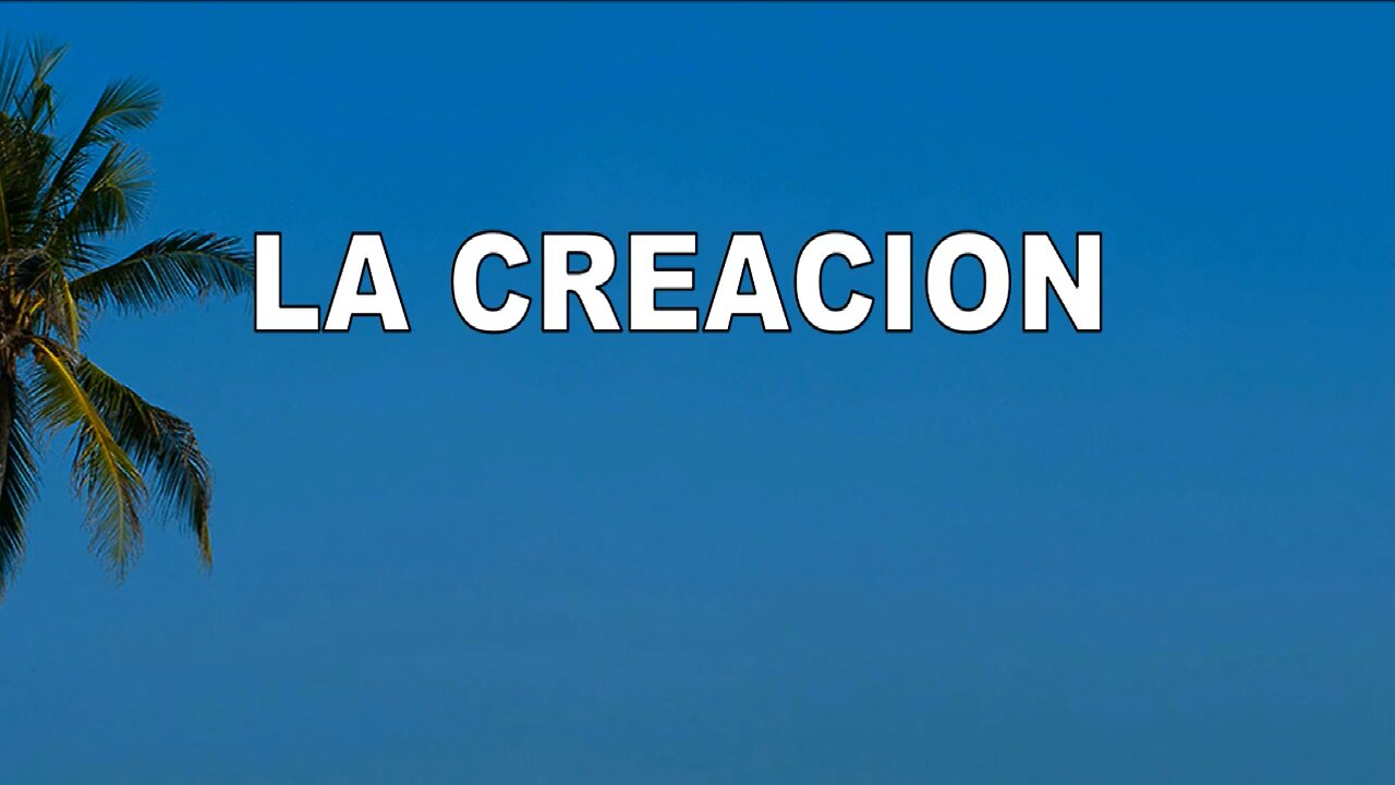 31 - La creacion